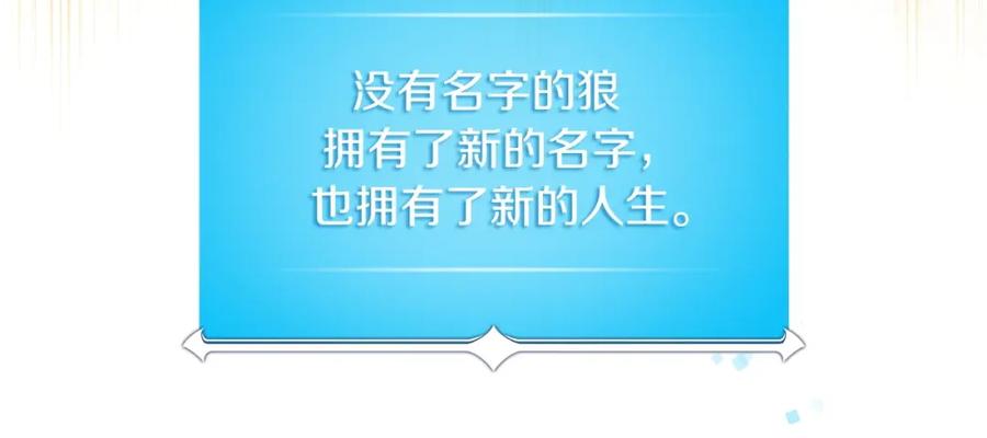 第223页