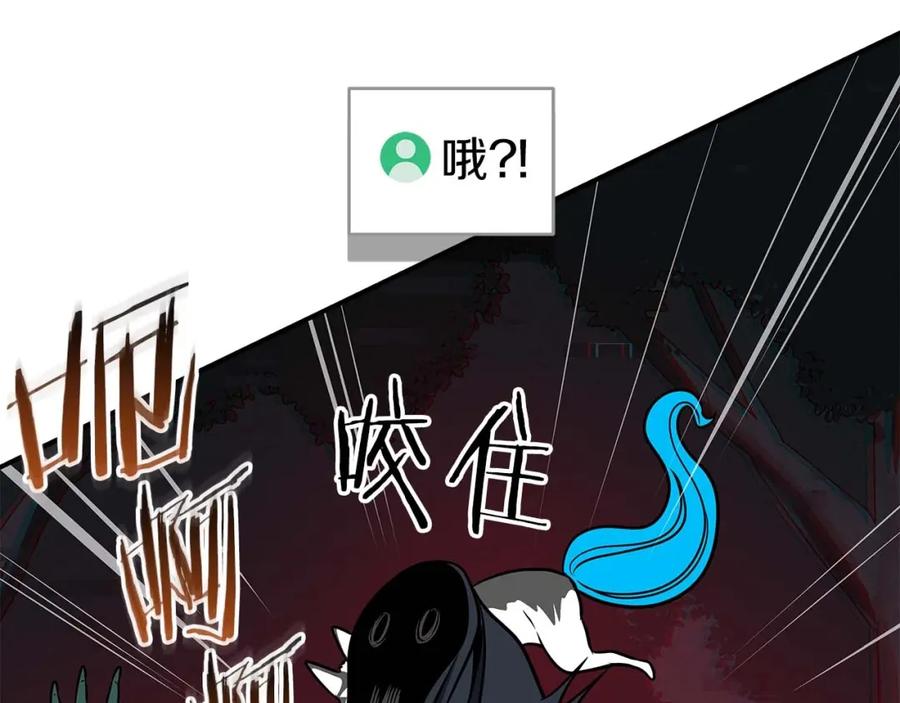 第204页