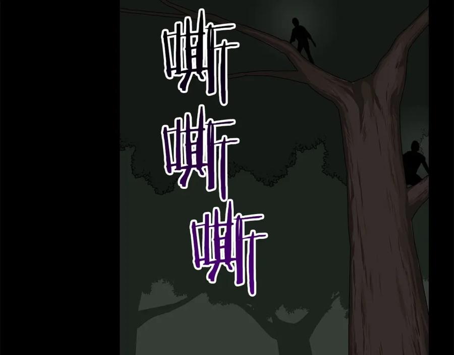 第215页