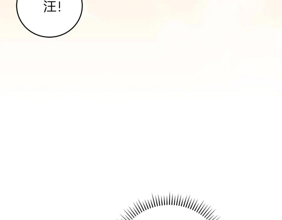 第223页