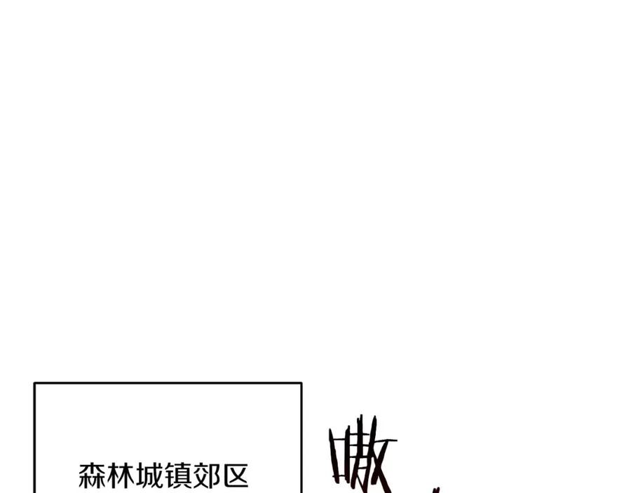 第234页