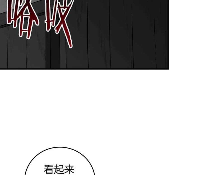 第244页