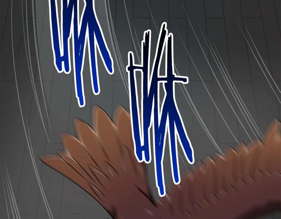 第256页