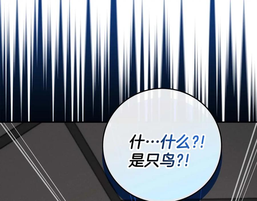 第258页