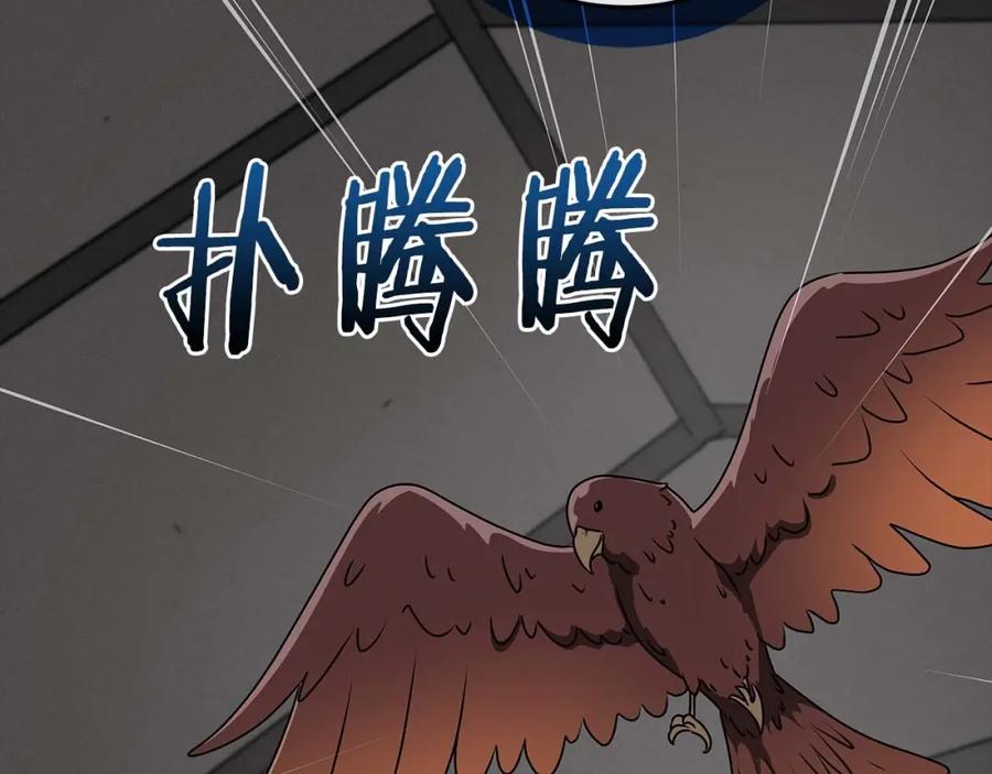 第259页
