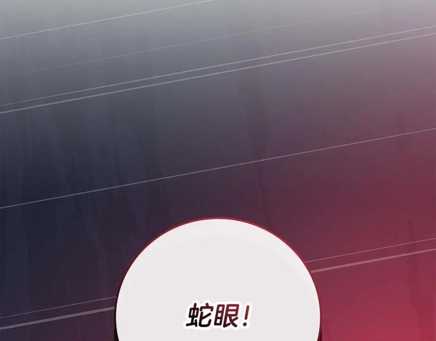 第244页