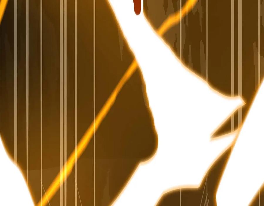 第255页