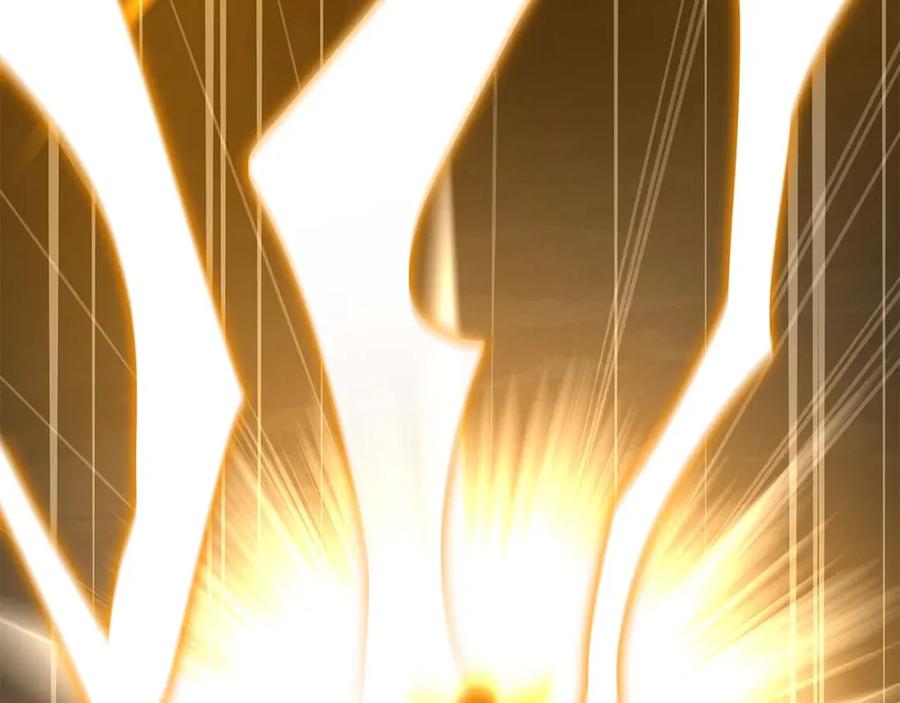 第256页