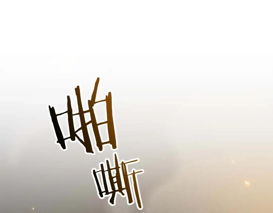 第260页