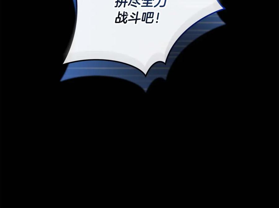 第223页