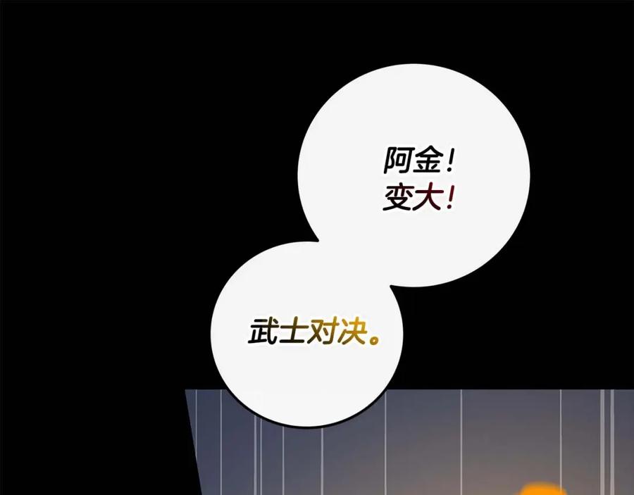 第224页