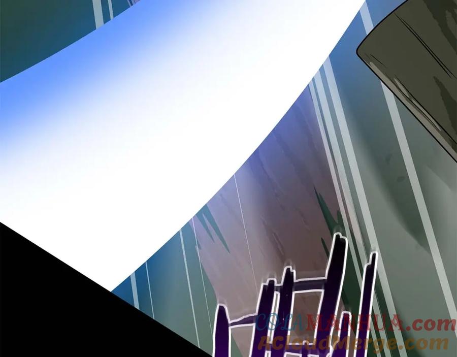 第233页