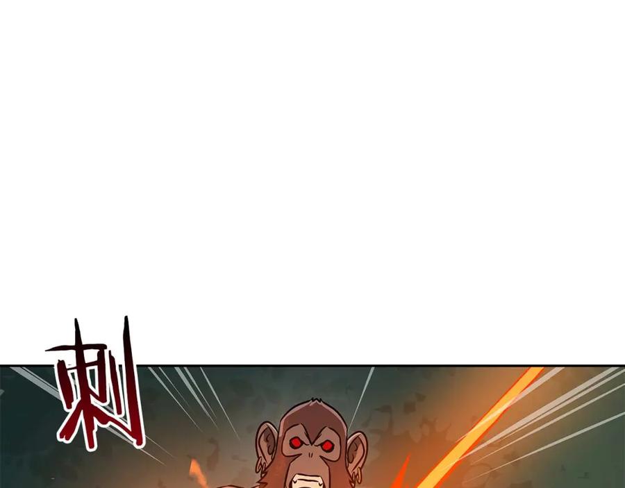第223页