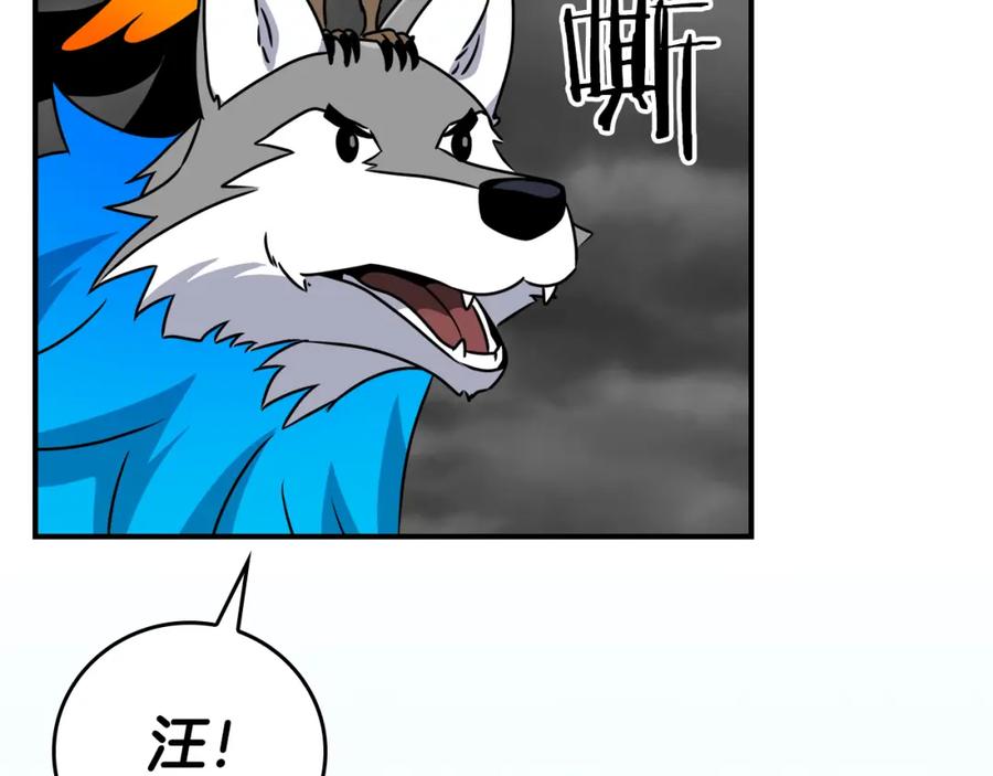 第244页