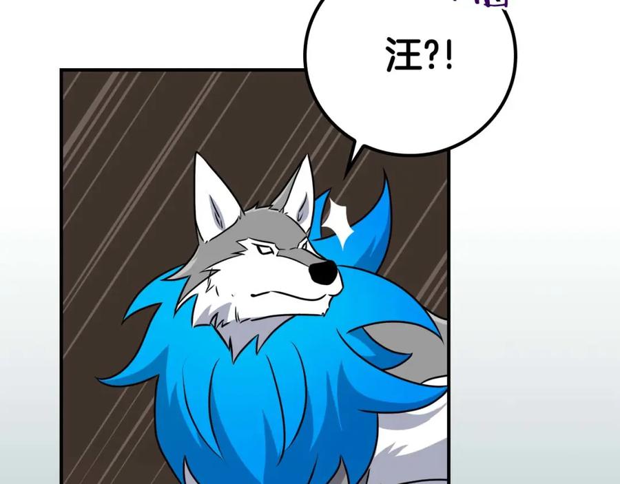 第187页