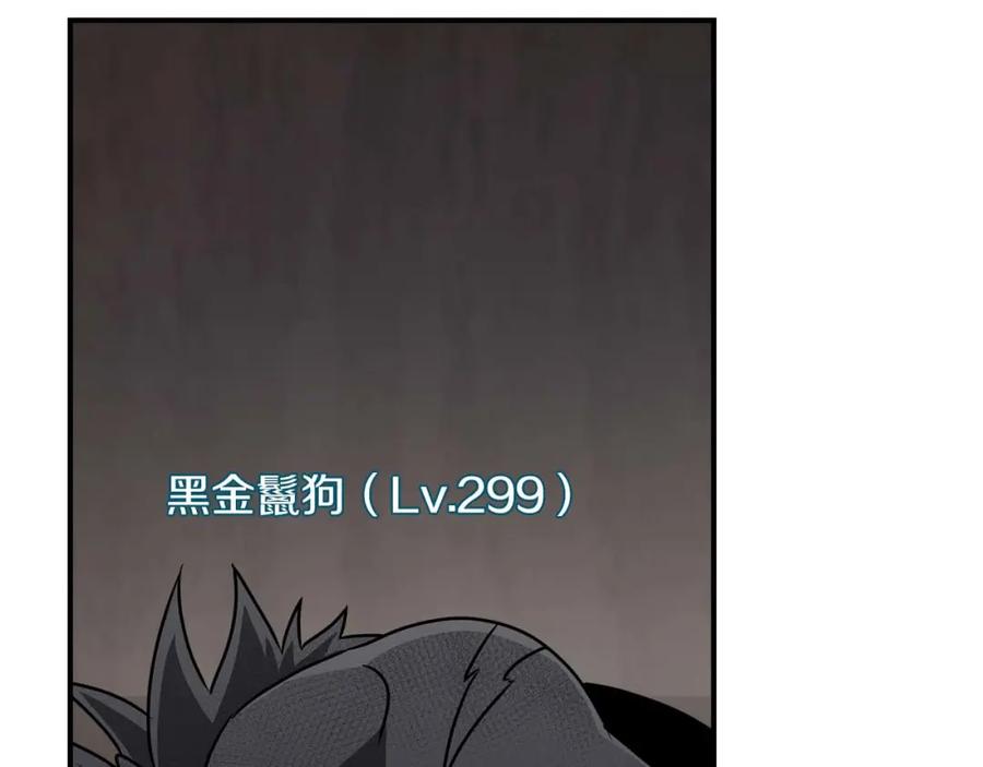 第234页