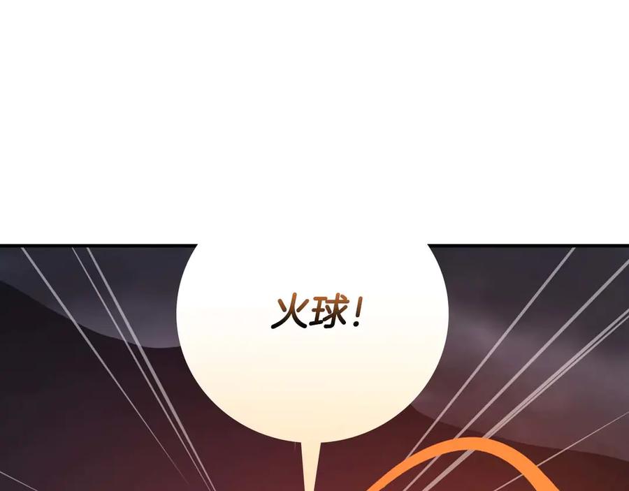 第215页