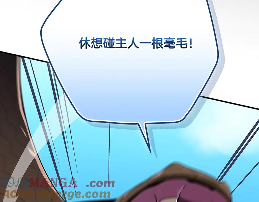 第205页