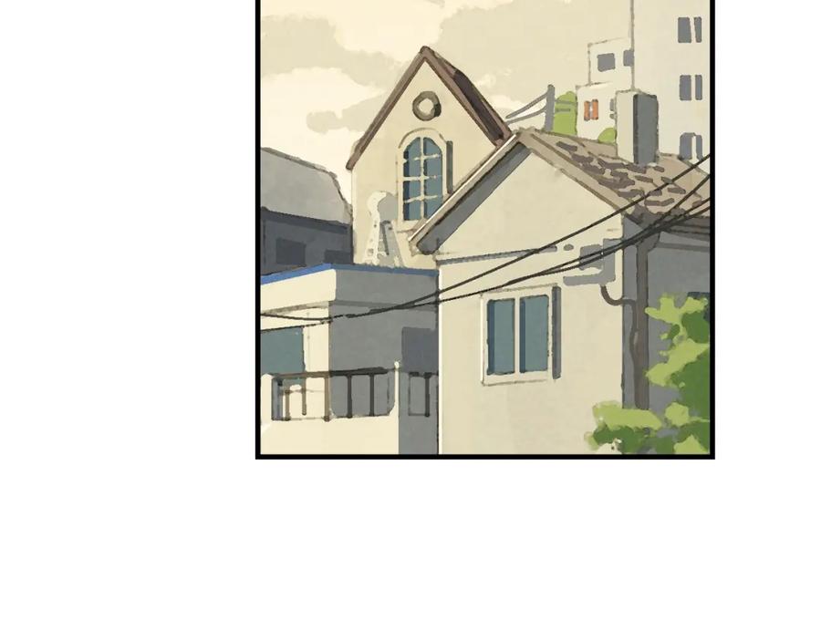 第250页