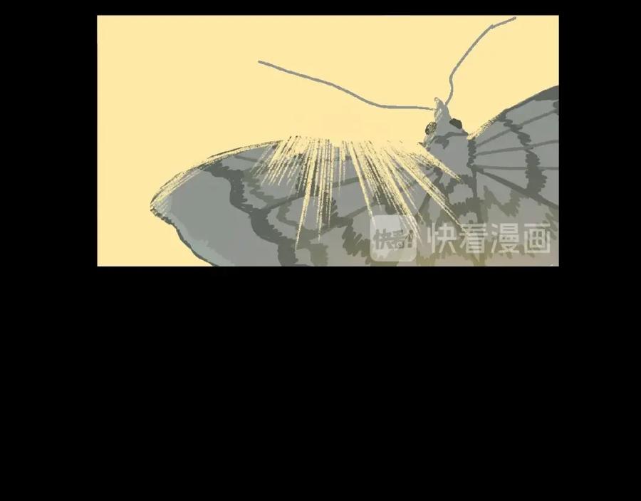 第215页