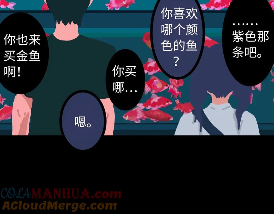 第237页