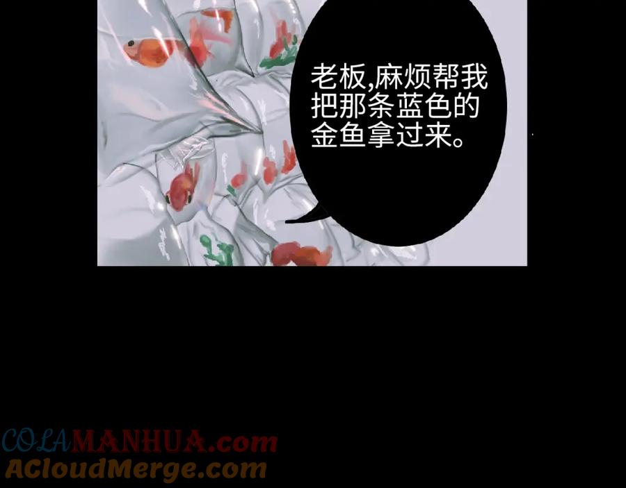 第245页