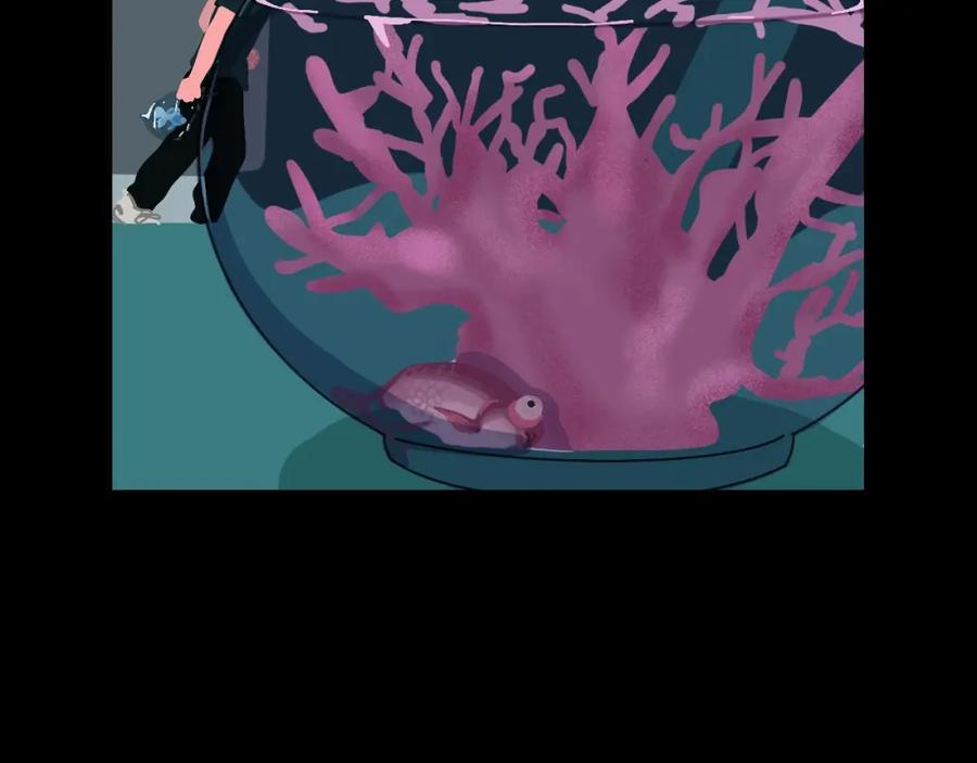 第250页
