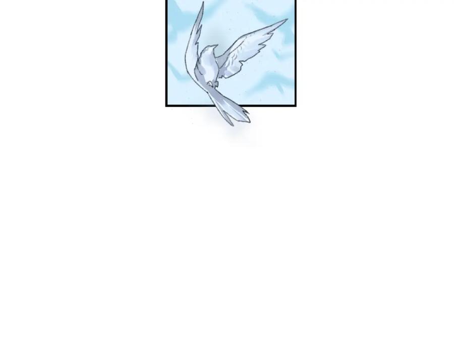 第246页