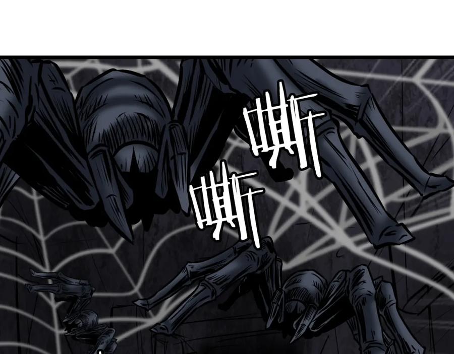 第178页