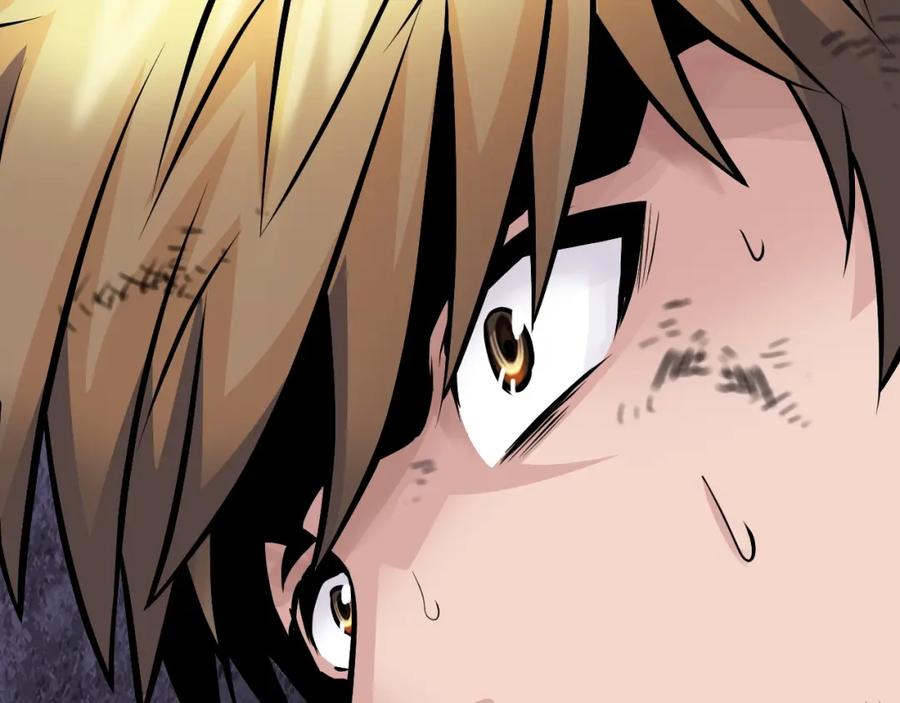 第221页