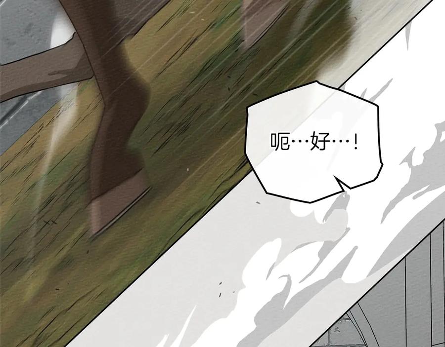 第224页