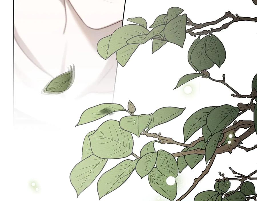 第227页