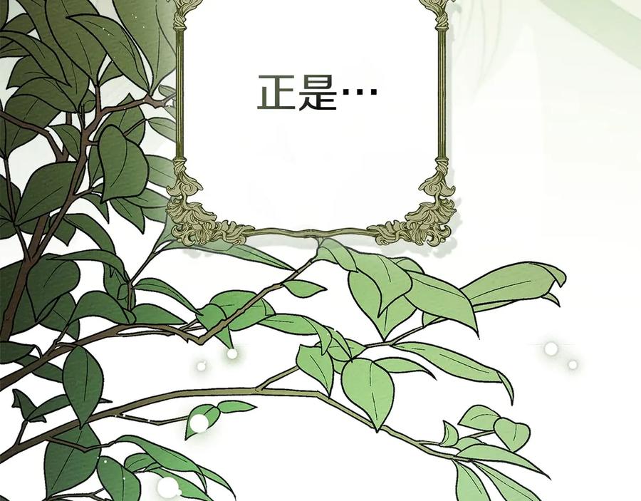 第232页