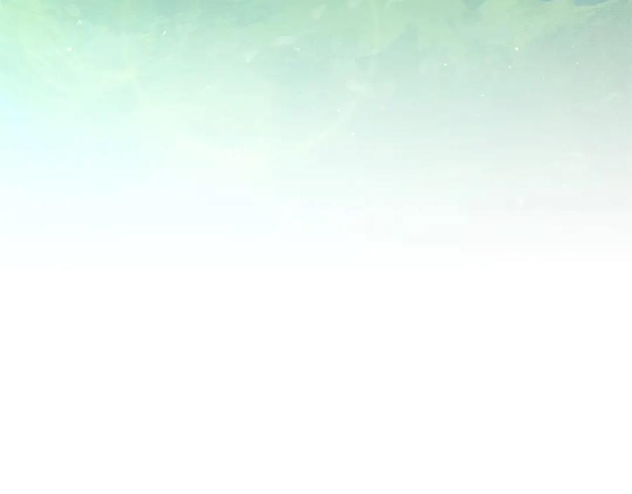第243页