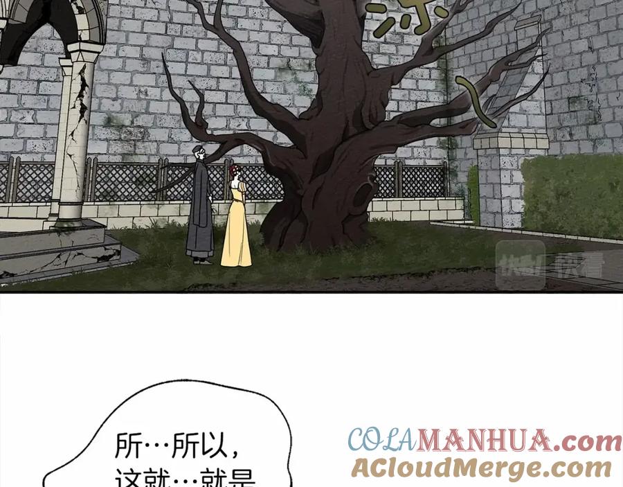 第221页