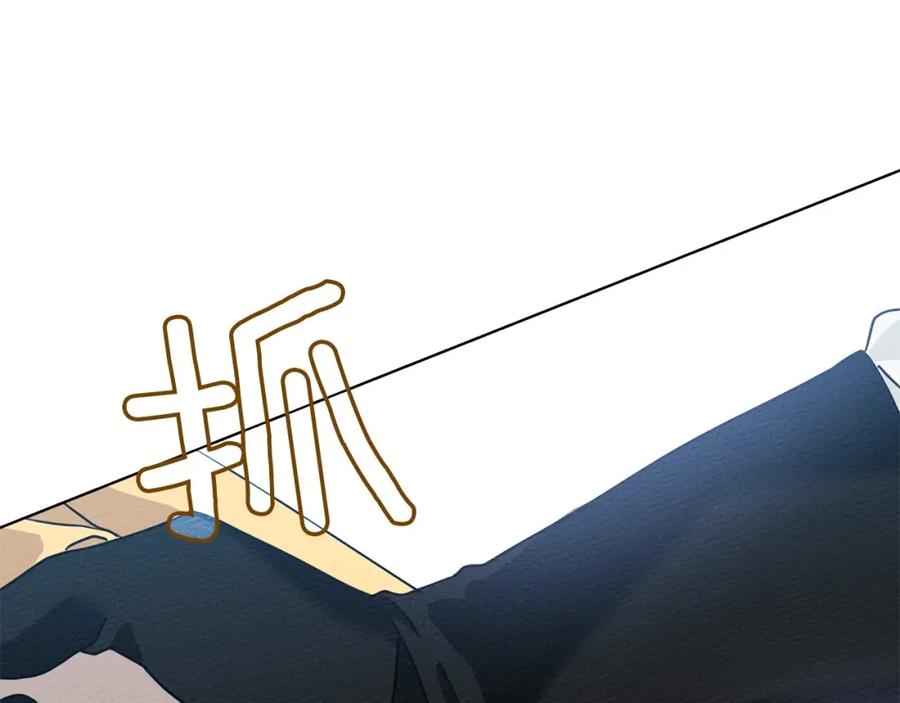 第242页
