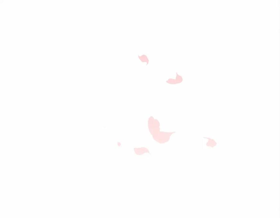 第202页