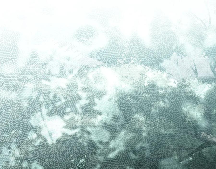 第203页