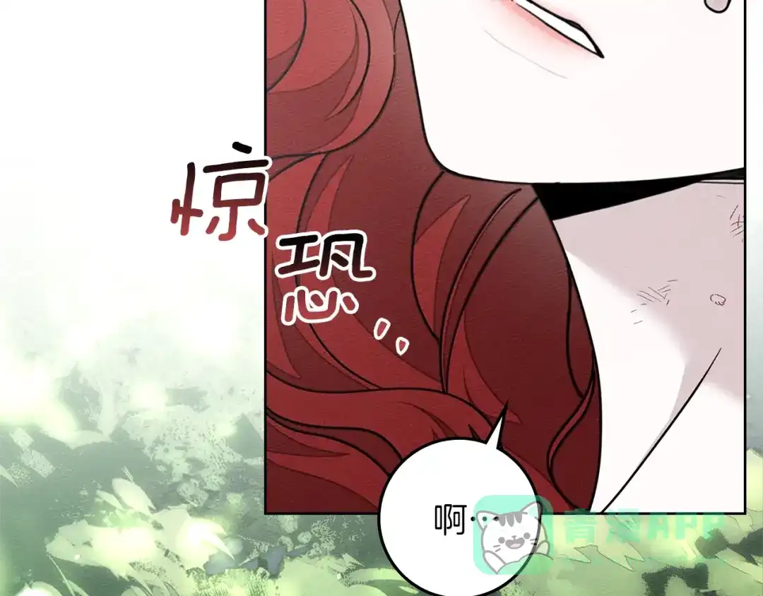 第216页