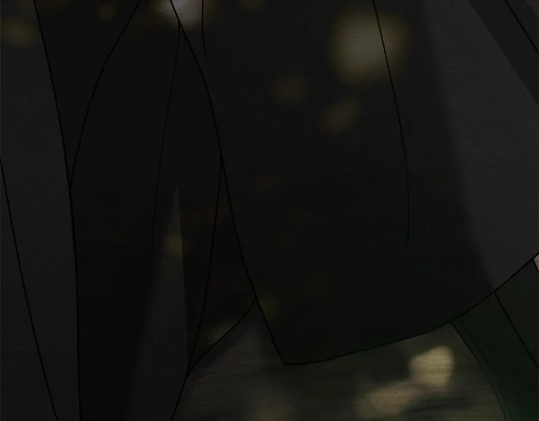 第223页