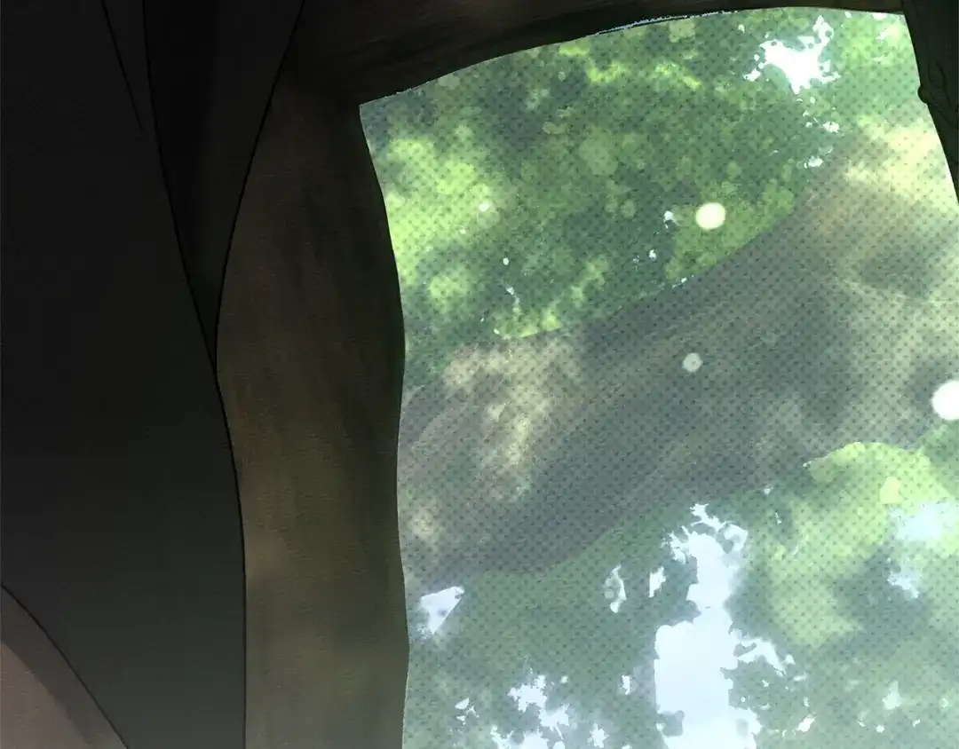 第224页