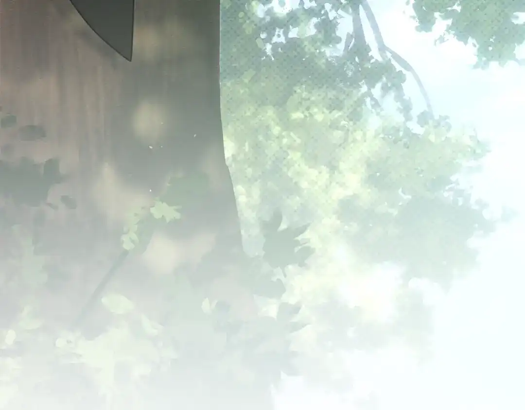 第225页