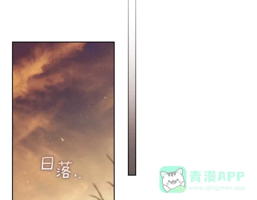 第206页