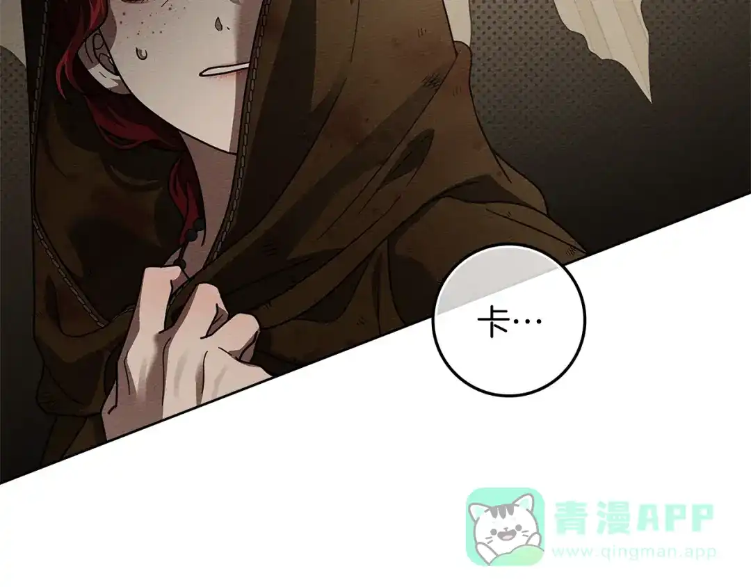 第216页