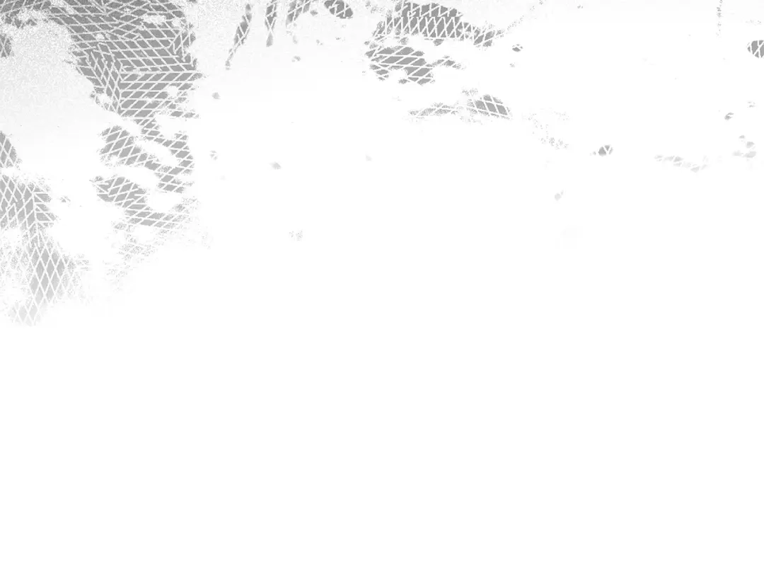 第193页