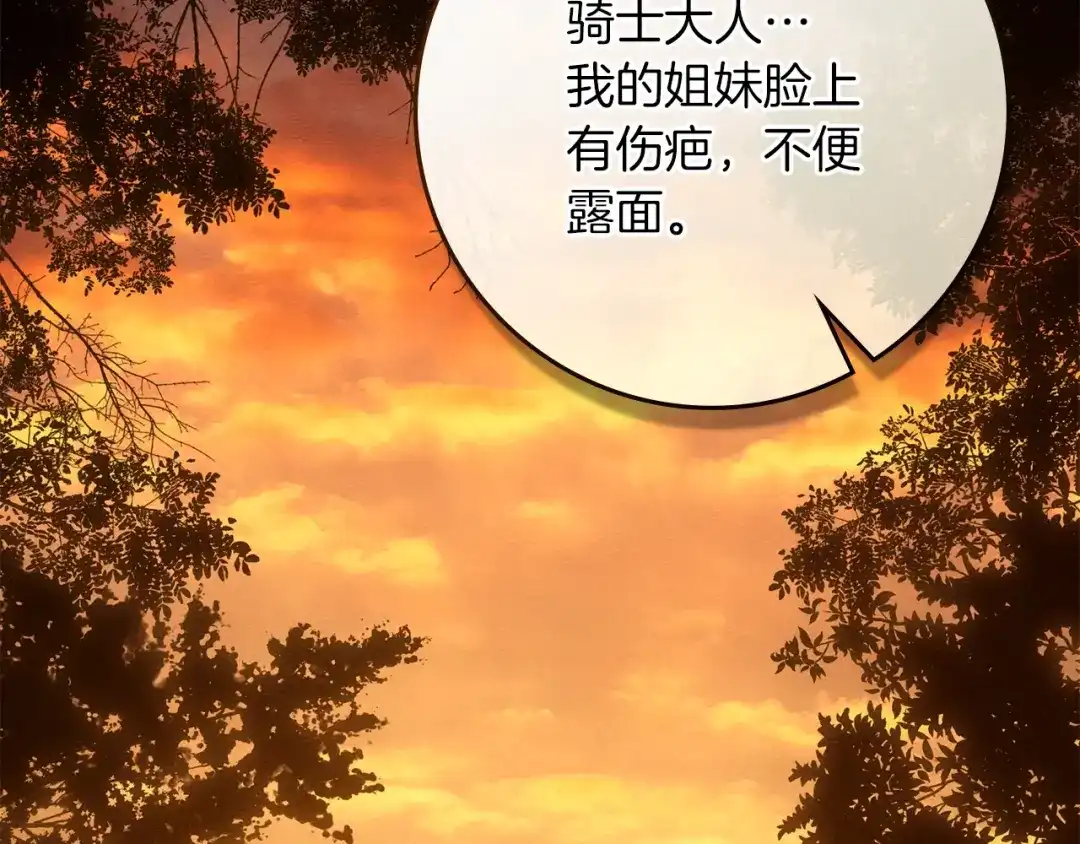 第203页