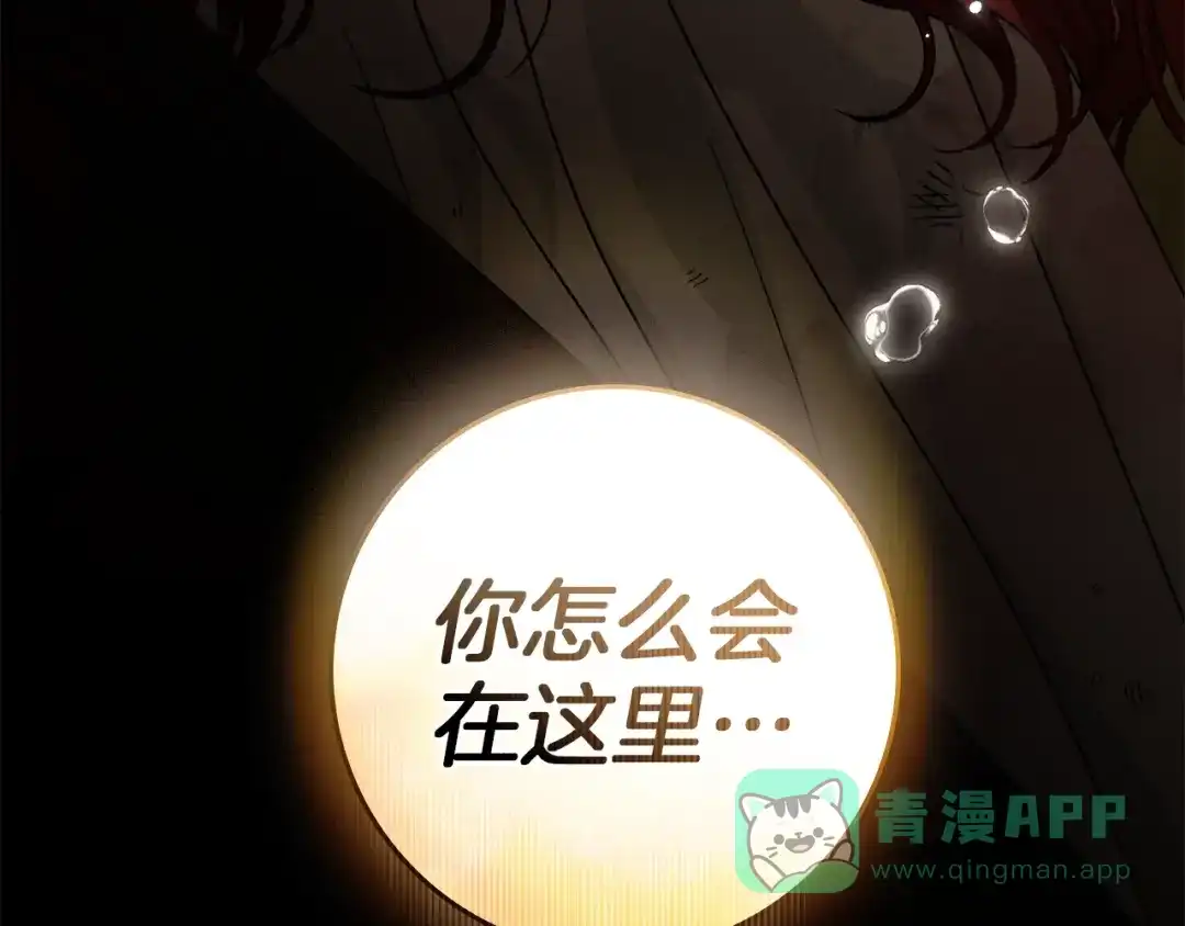 第231页