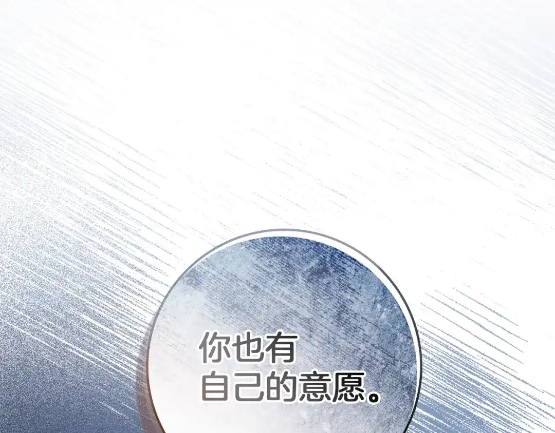 第223页