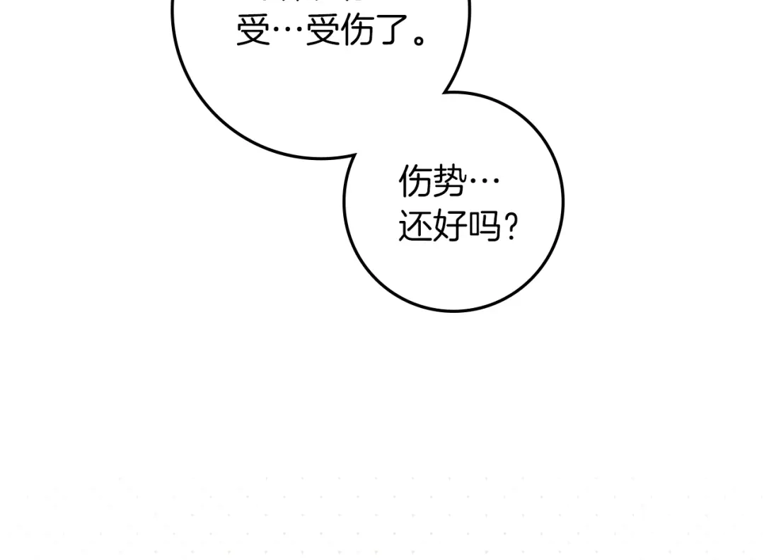 第215页