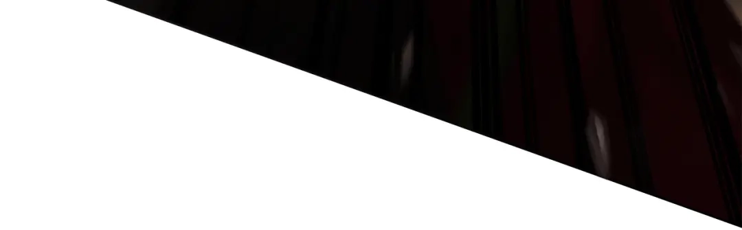 第224页